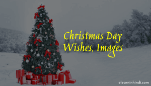Christmas Wishes In Hindi